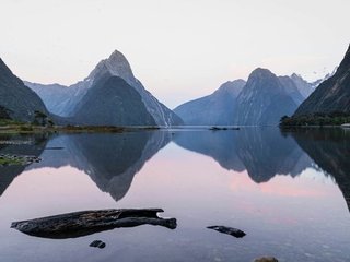 thomas-hetzler-6F6WOgqkT2I-unsplash.width-480